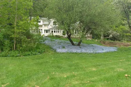 Licensed for B&B - you name it inn for sale