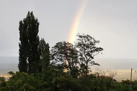 View from Front Porch