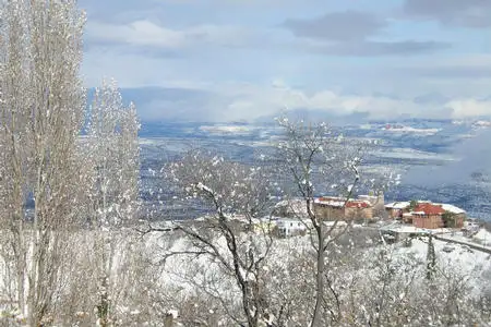 Winter View from Front Porch