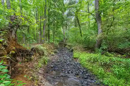 a 3/4 acre walking trail is in place on the 23 acres